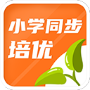 詭異!廣廈隊為何兵敗如倒?王博居然這樣說,球迷:留力戰廣東?