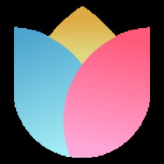 隨著廣東4連勝,北京87