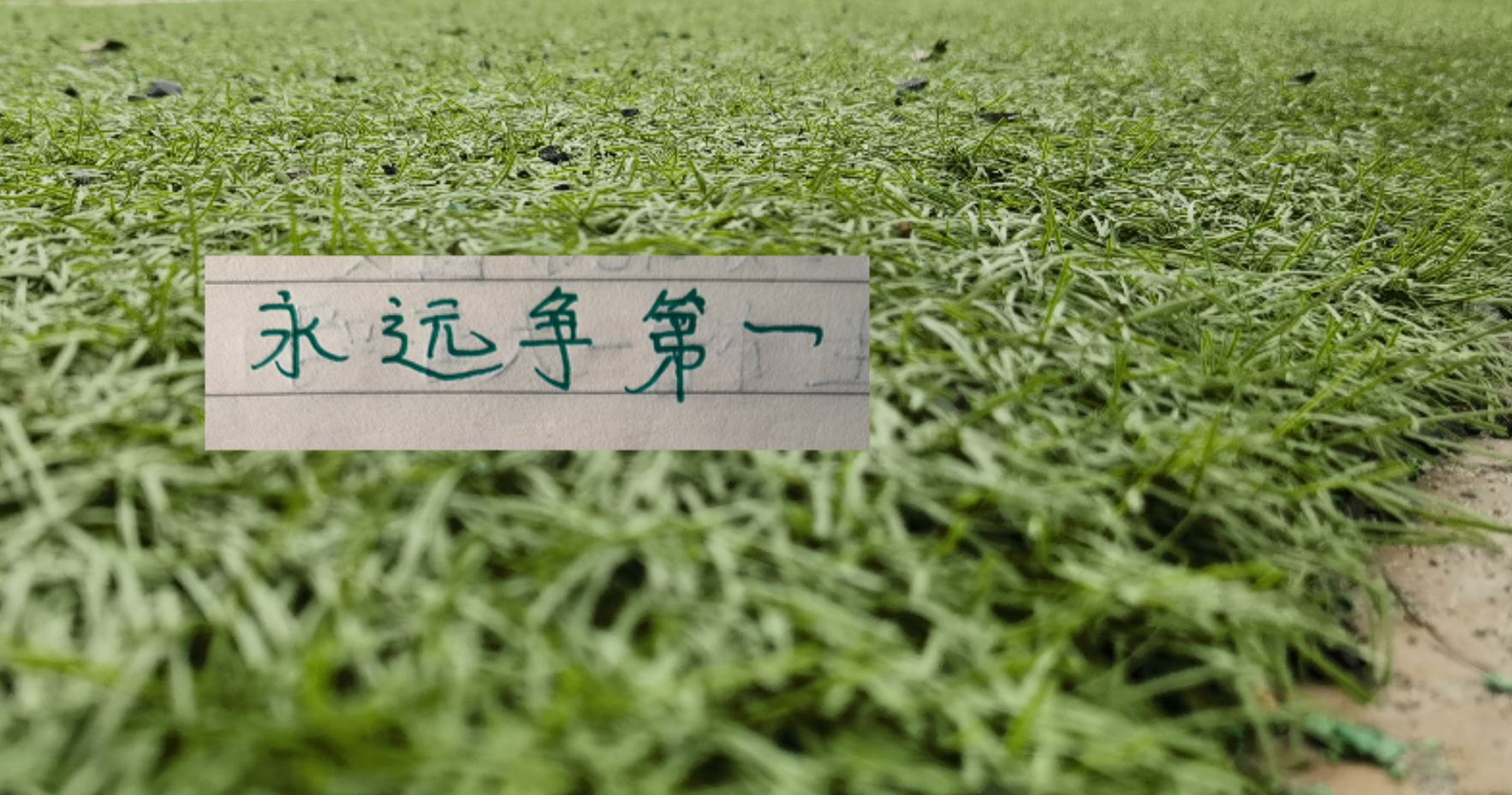 沒料到！今年北京國安最能跑的球員是塞鳥 5月球隊(duì)逆襲 還得靠他
