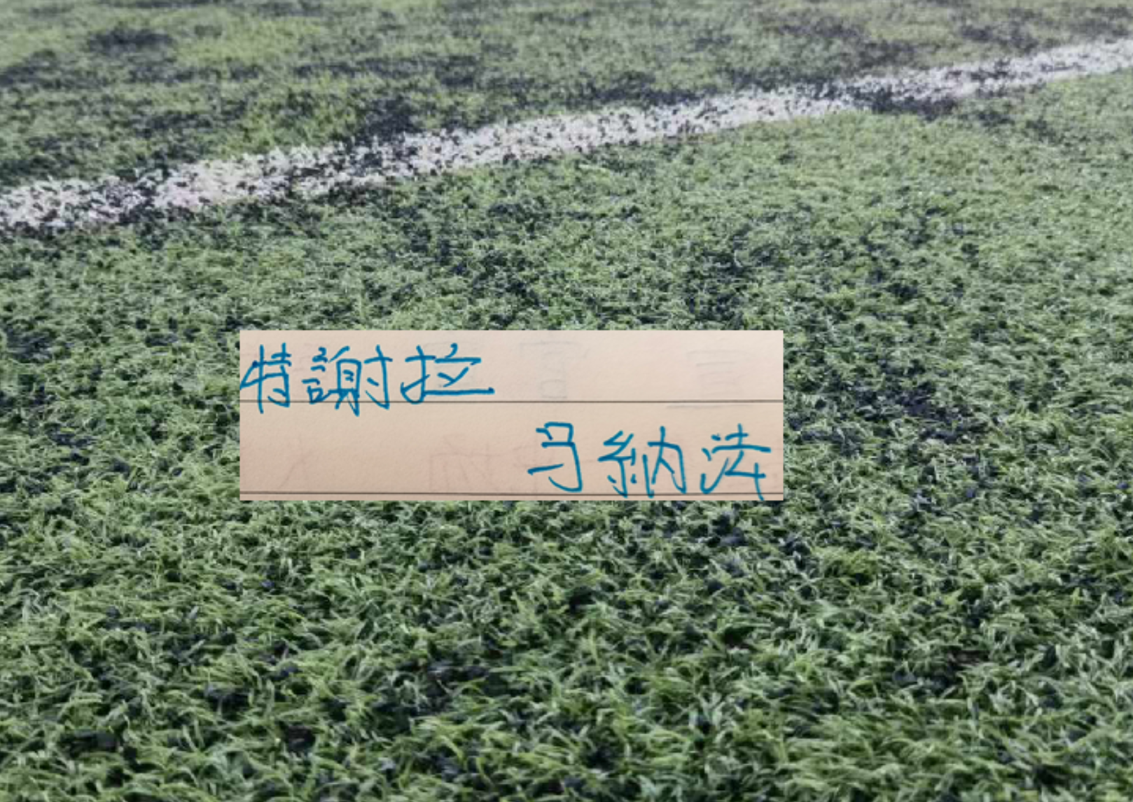 申花10號特謝拉本是雙刃劍選手 上半年受傷2次